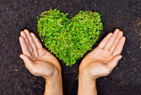Hands holding a green leaf heart