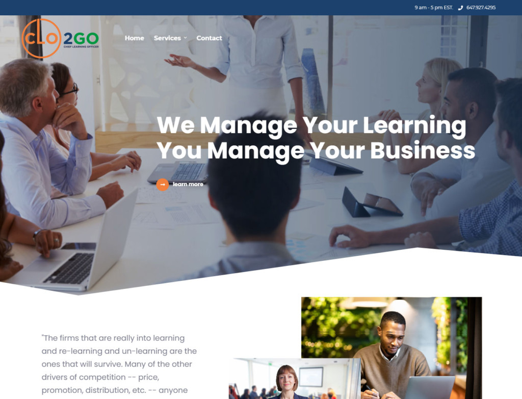 CLO2GO website design up close